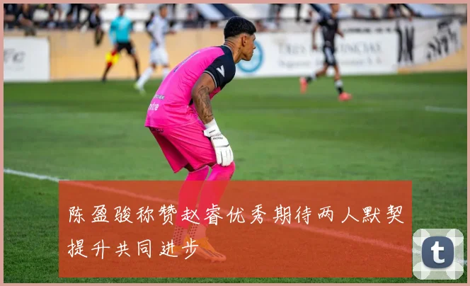 陈盈骏称赞赵睿优秀期待两人默契提升共同进步
